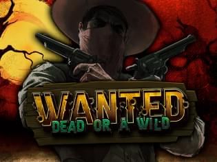 Wanted Dead or a Wild — вестерн с мегавыплатами